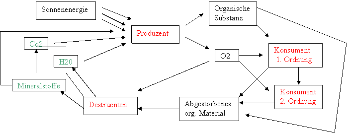 Biotische Faktoren referat